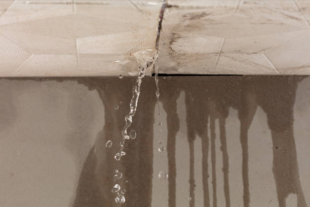 Professional Burst Pipe Cleanup technician working in Lexington, NE